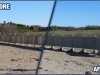 markham-fence-painting