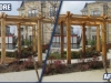markham-pergola